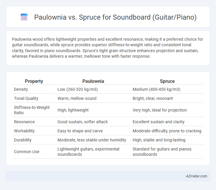 Paulownia vs. Spruce for Soundboard (Guitar/Piano) - What is The Difference?