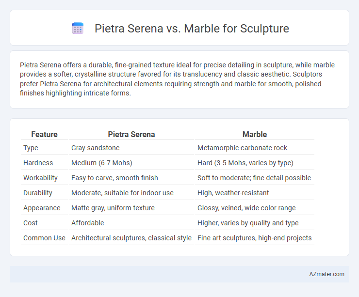 Pietra Serena vs. Marble for Sculpture - What is The Difference?