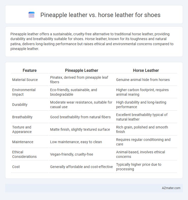Pineapple leather vs. horse leather for shoes - What is The Difference?