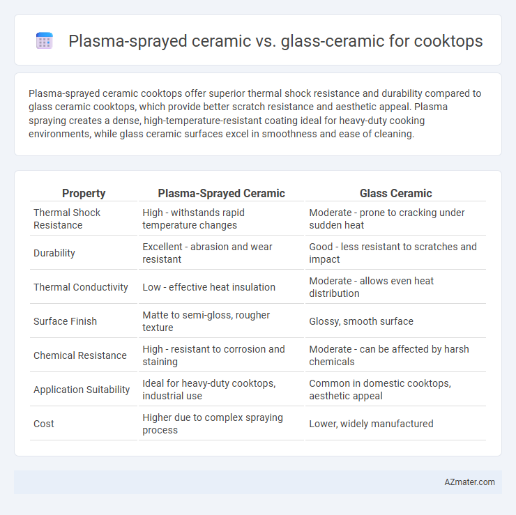 Plasma-sprayed ceramic vs. glass-ceramic for cooktops - What is The Difference?