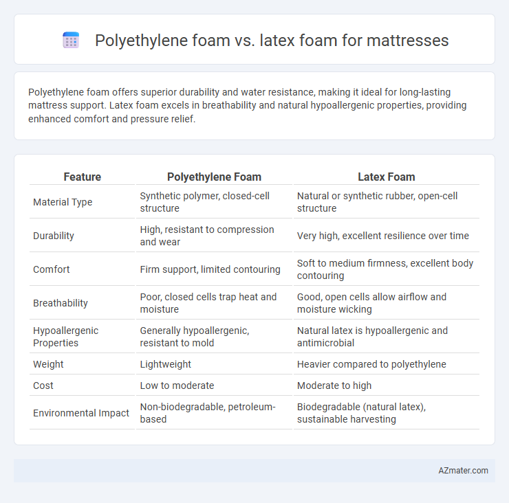 Polyethylene foam vs. latex foam for mattresses - What is The Difference?