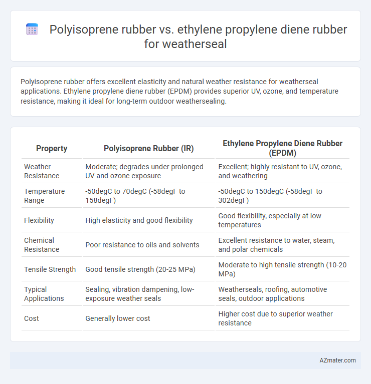Polyisoprene rubber vs. ethylene propylene diene rubber for weatherseal - What is The Difference?