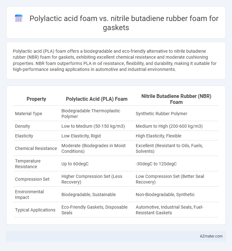 Polylactic acid foam vs. nitrile butadiene rubber foam for gaskets - What is The Difference?