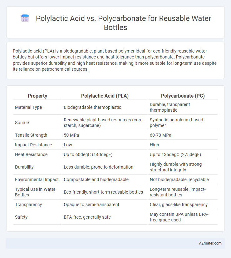 Polylactic Acid vs. Polycarbonate for Reusable Water Bottles - What is The Difference?