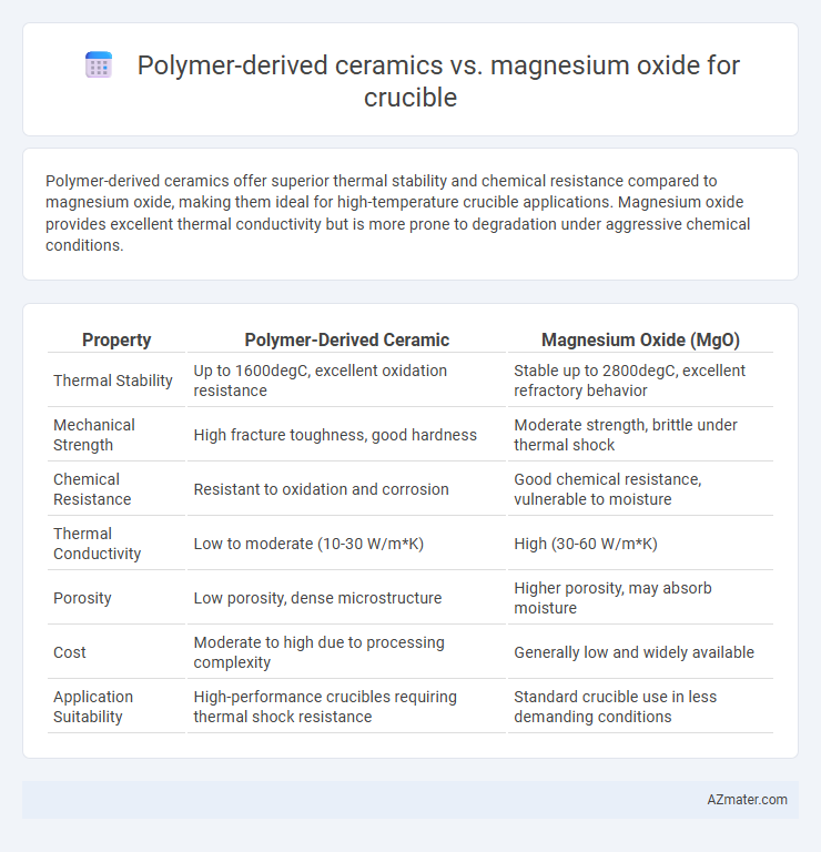 Polymer-derived ceramics vs. magnesium oxide for crucible - What is The Difference?