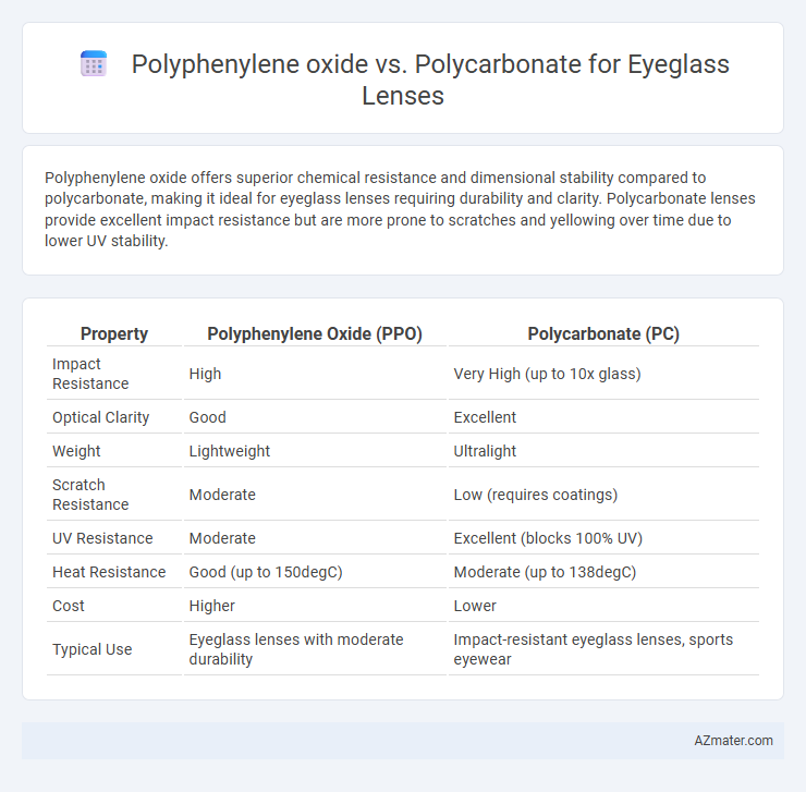 Polyphenylene oxide vs. Polycarbonate for Eyeglass Lenses - What is The Difference?
