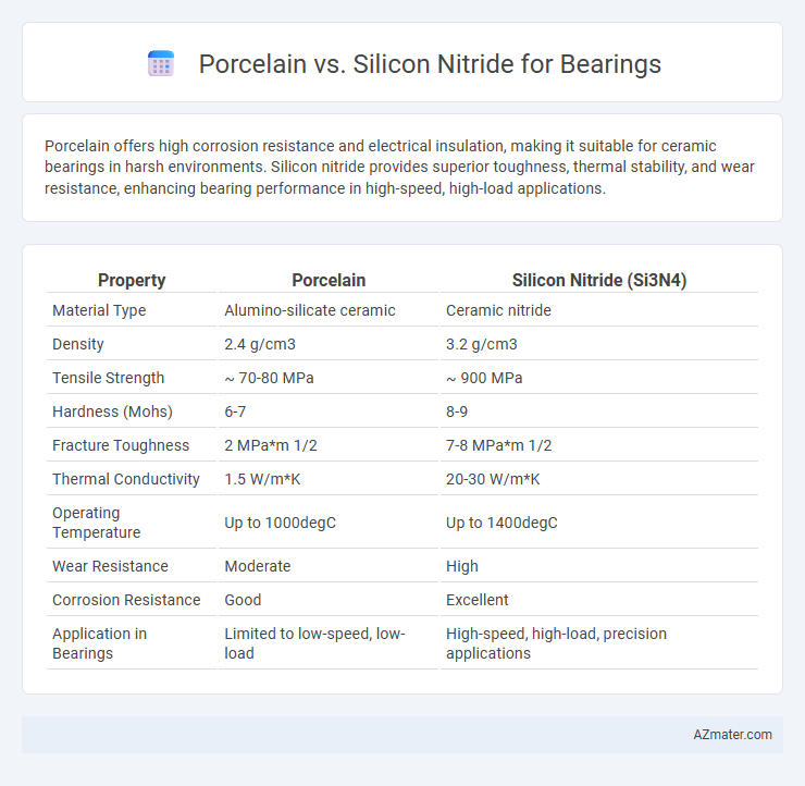 Porcelain vs. Silicon Nitride for Bearings - What is The Difference?