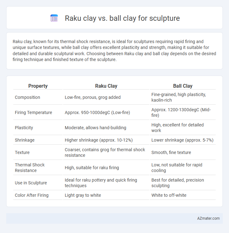 Raku clay vs. ball clay for sculpture - What is The Difference?