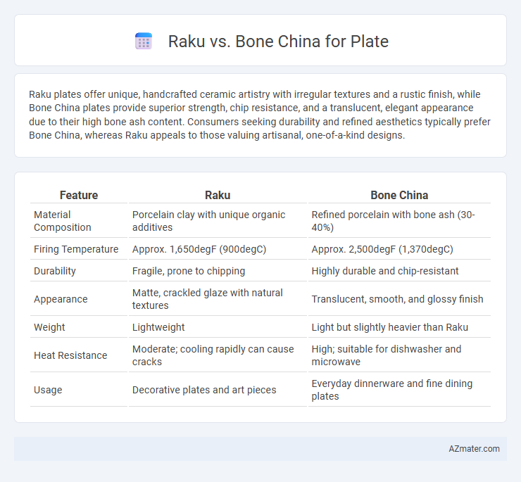 Raku vs. Bone China for Plate - What is The Difference?
