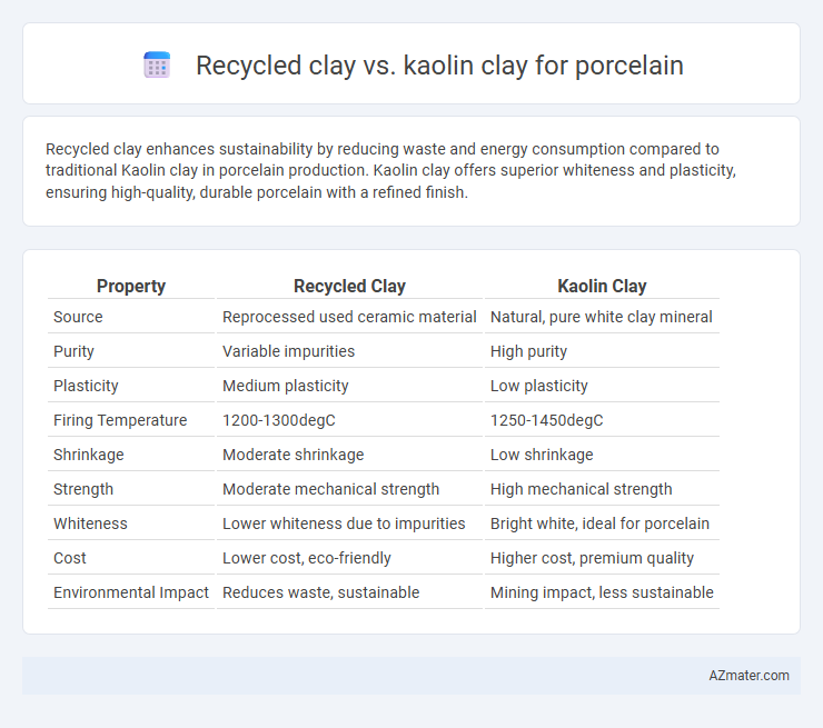 Recycled clay vs. kaolin clay for porcelain - What is The Difference?