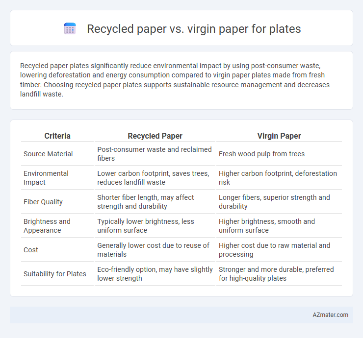 Recycled paper vs. virgin paper for plates - What is The Difference?