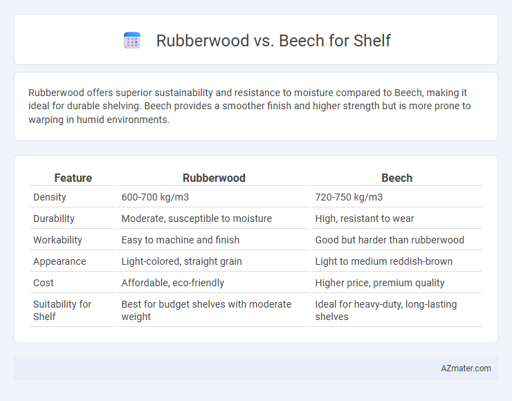 Rubberwood vs. Beech for Shelf - What is The Difference?