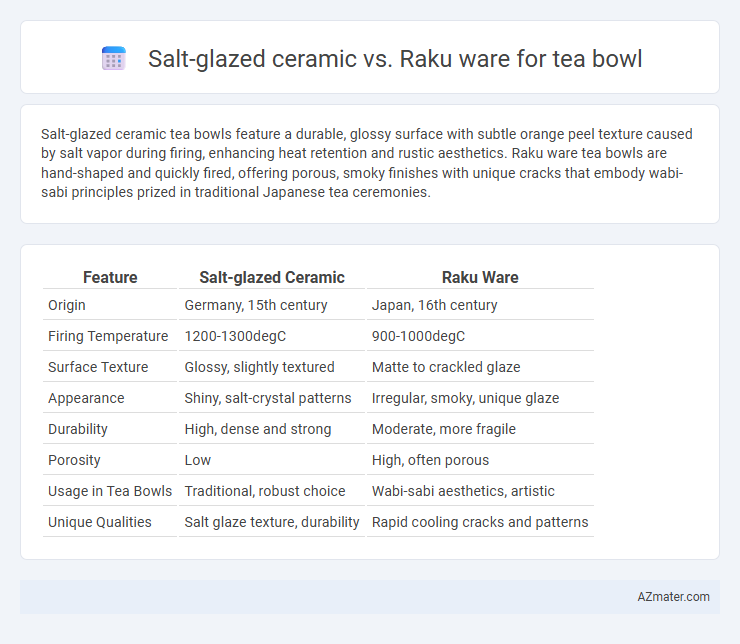 Salt-glazed ceramic vs. Raku ware for tea bowl - What is The Difference?