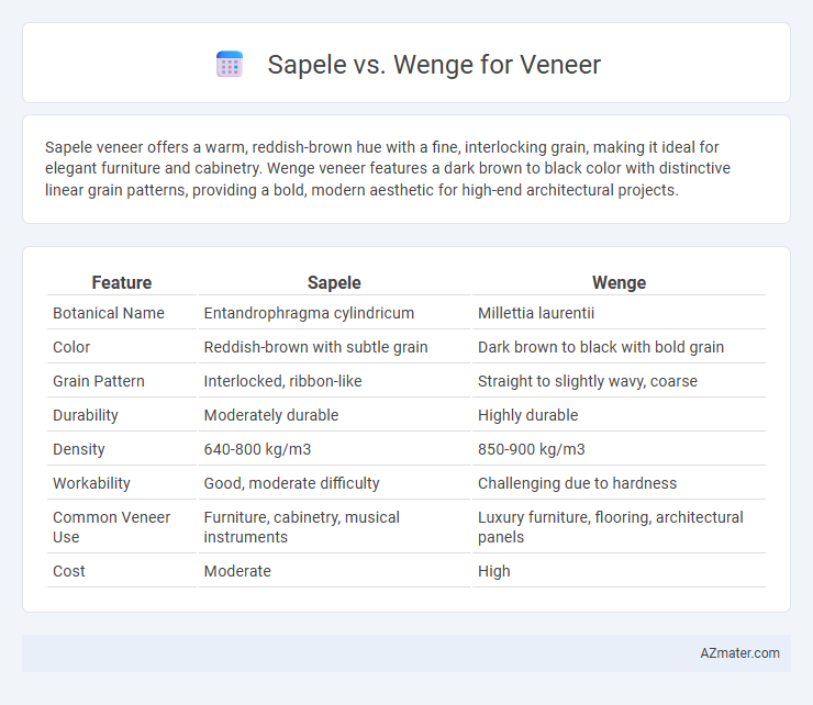 Sapele vs. Wenge for Veneer - What is The Difference?