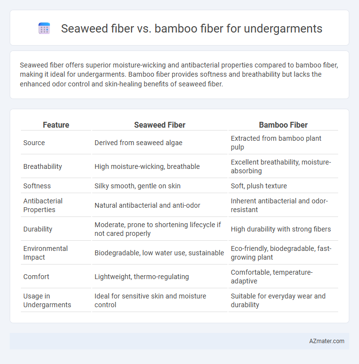 Seaweed fiber vs. bamboo fiber for undergarments - What is The Difference?