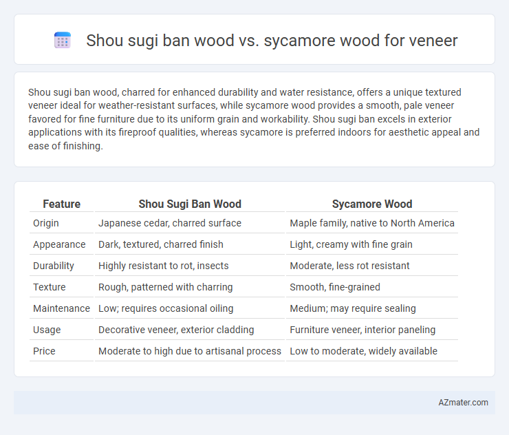 Shou sugi ban wood vs. sycamore wood for veneer - What is The Difference?