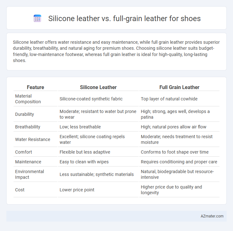 Silicone leather vs. full-grain leather for shoes - What is The Difference?