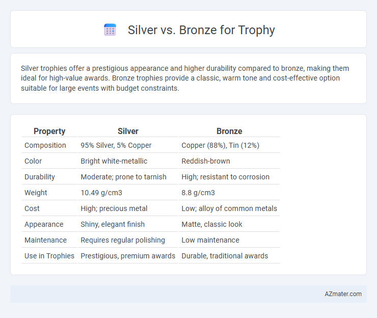Silver vs. Bronze for Trophy - What is The Difference?