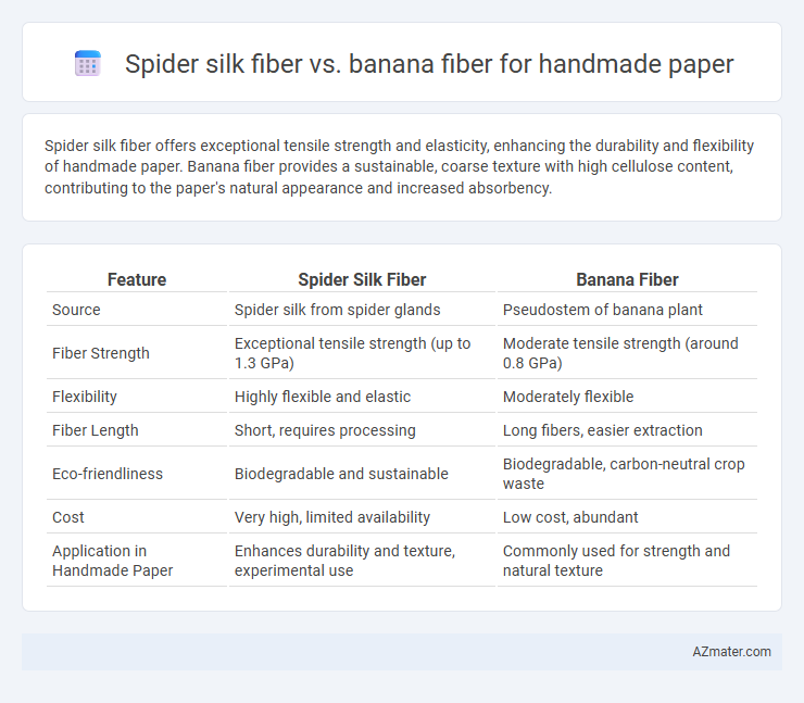 Spider silk fiber vs. banana fiber for handmade paper - What is The Difference?