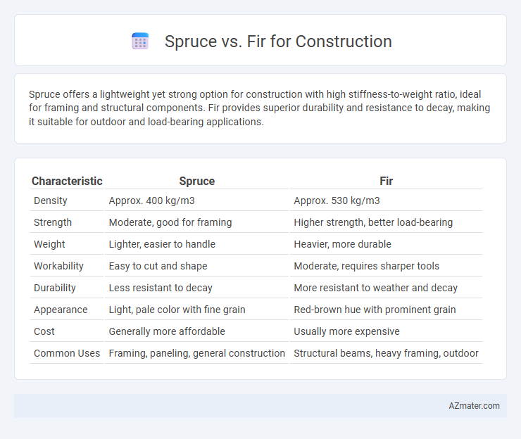 Spruce vs. Fir for Construction - What is The Difference?