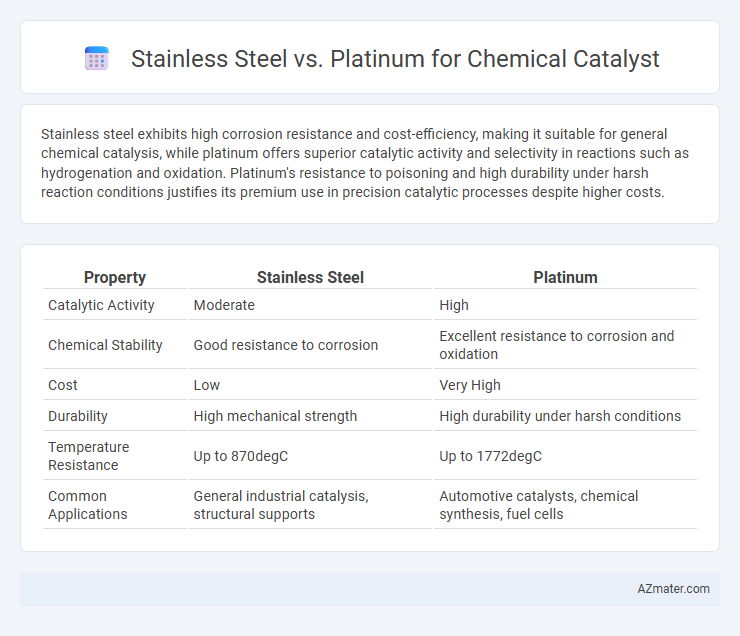 Stainless Steel vs. Platinum for Chemical Catalyst - What is The Difference?
