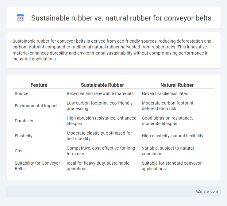Sustainable rubber vs. natural rubber for conveyor belts - What is The Difference?