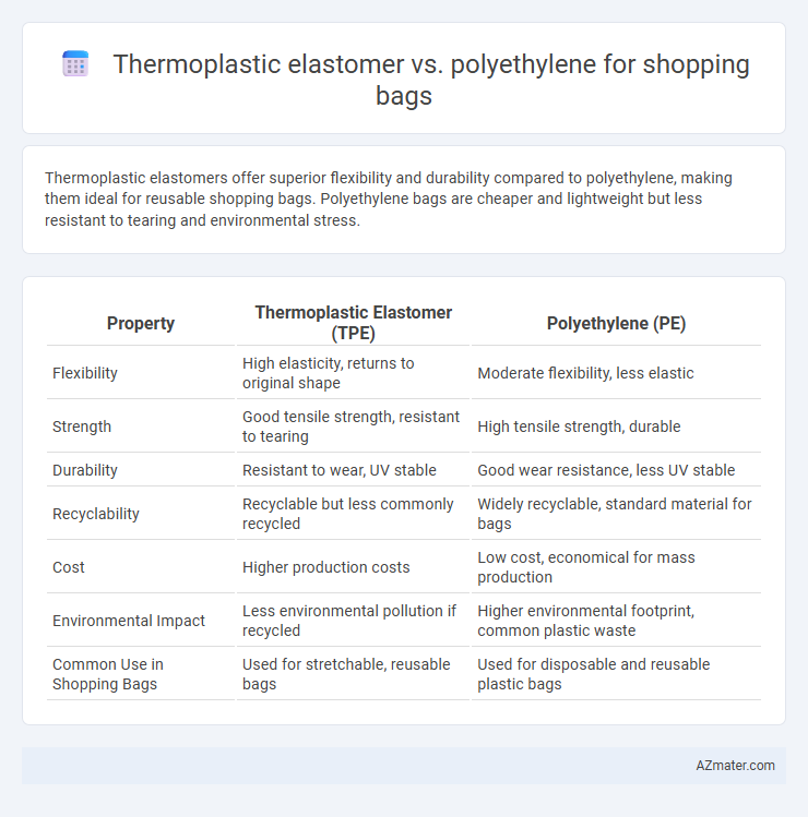 Thermoplastic elastomer vs. polyethylene for shopping bags - What is The Difference?