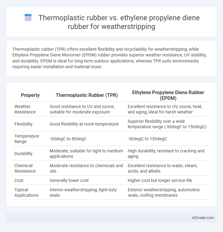 Thermoplastic rubber vs. ethylene propylene diene rubber for weatherstripping - What is The Difference?