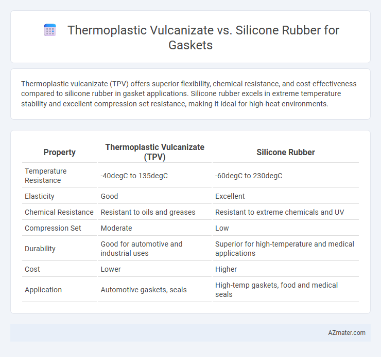 Thermoplastic Vulcanizate vs. Silicone Rubber for Gaskets - What is The Difference?