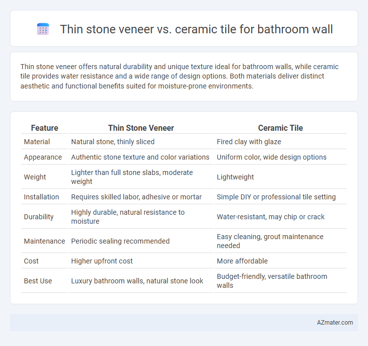 Thin stone veneer vs. ceramic tile for bathroom wall - What is The Difference?