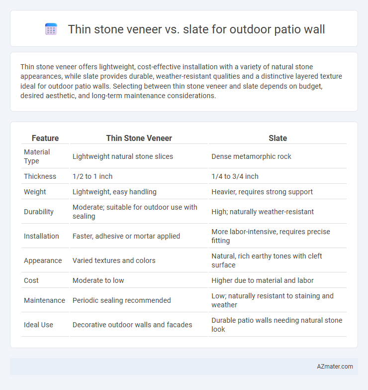 Thin stone veneer vs. slate for outdoor patio wall - What is The Difference?