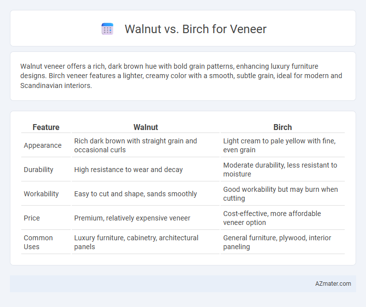 Walnut vs. Birch for Veneer - What is The Difference?
