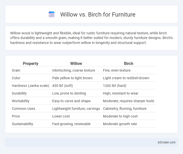 Willow vs. Birch for Furniture - What is The Difference?