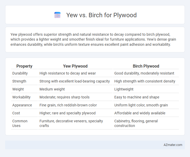 Yew vs. Birch for Plywood - What is The Difference?