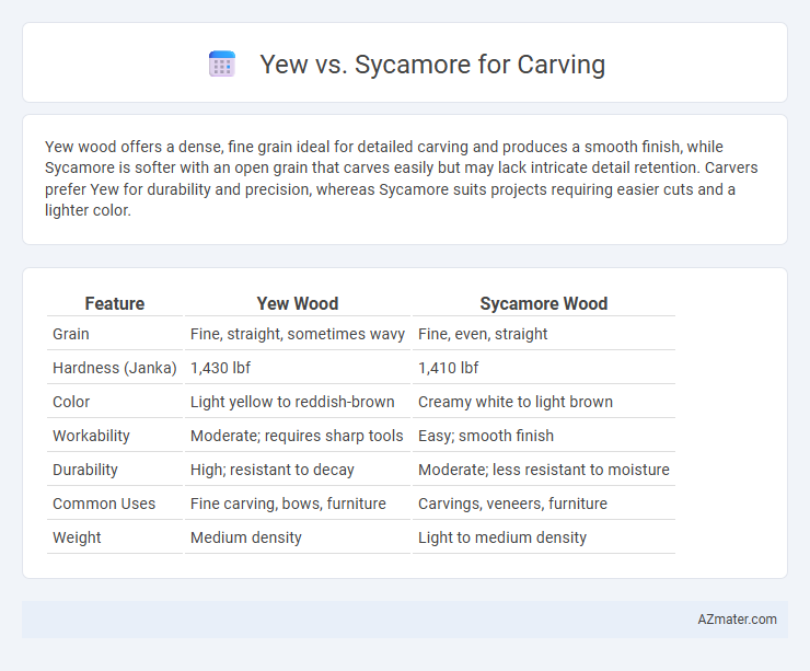 Yew vs. Sycamore for Carving - What is The Difference?