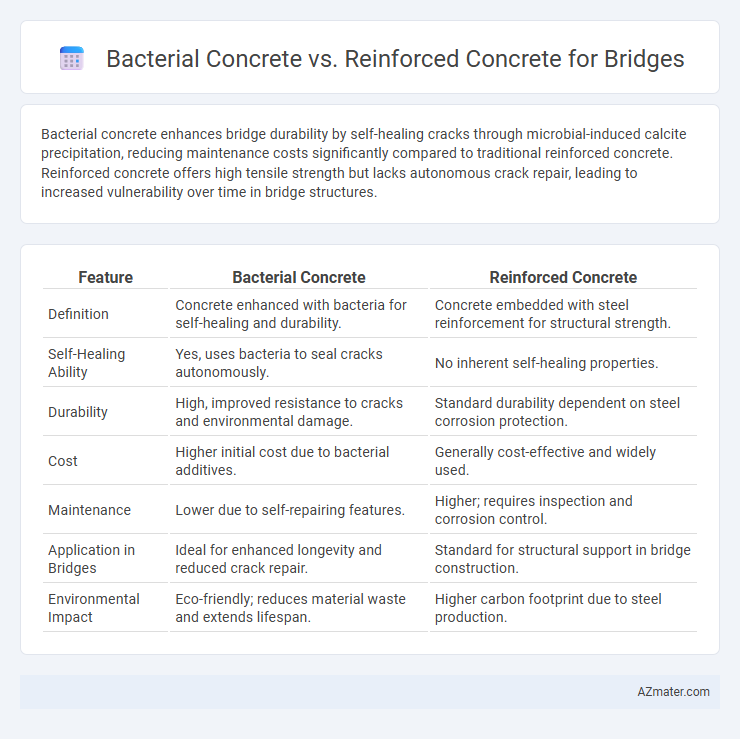 Bacterial Concrete vs. Reinforced Concrete for Bridges - What is The Difference?