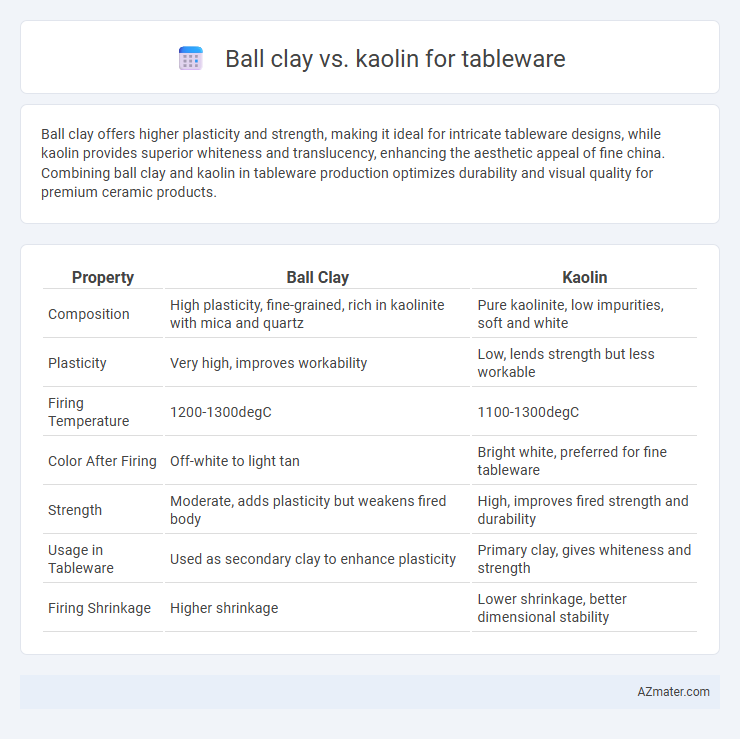 Ball clay vs. kaolin for tableware - What is The Difference?