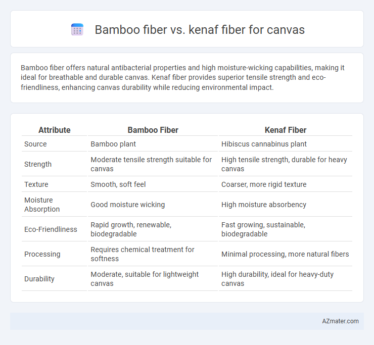 Bamboo fiber vs. kenaf fiber for canvas - What is The Difference?