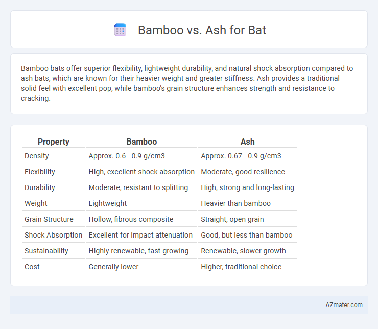 Bamboo vs. Ash for Bat - What is The Difference?