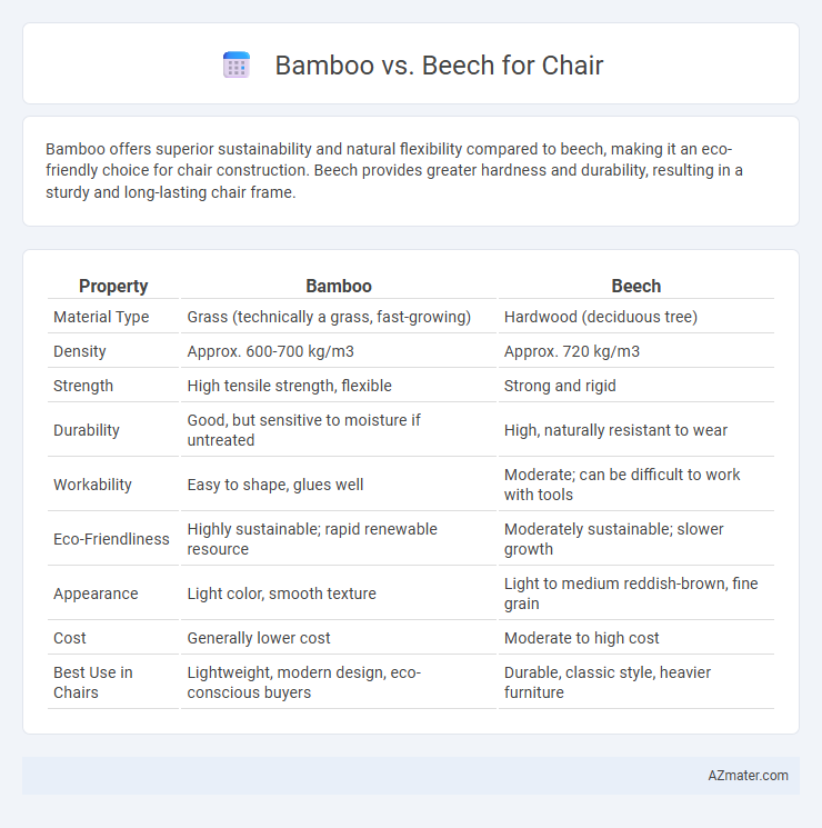 Bamboo vs. Beech for Chair - What is The Difference?