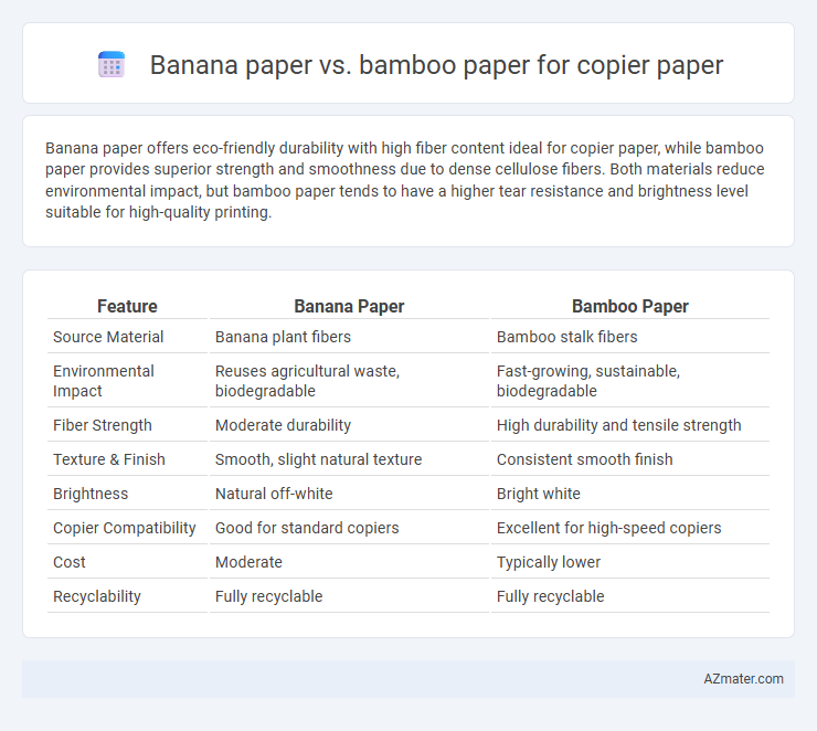 Banana paper vs. bamboo paper for copier paper - What is The Difference?