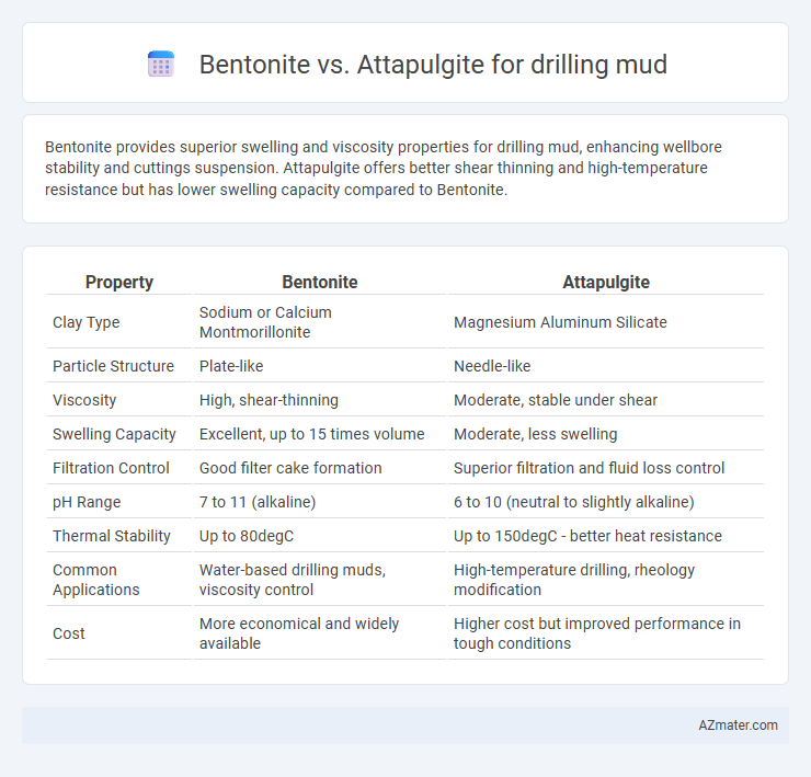 Bentonite vs. Attapulgite for drilling mud - What is The Difference?