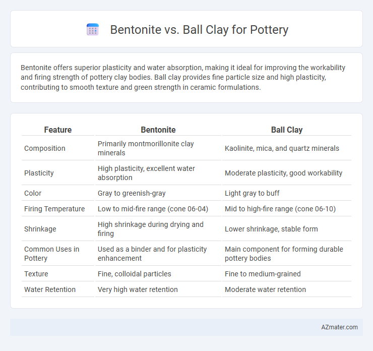 Bentonite vs. Ball Clay for Pottery - What is The Difference?