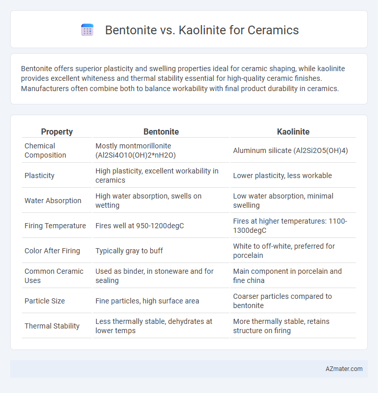 Bentonite vs. Kaolinite for Ceramics - What is The Difference?