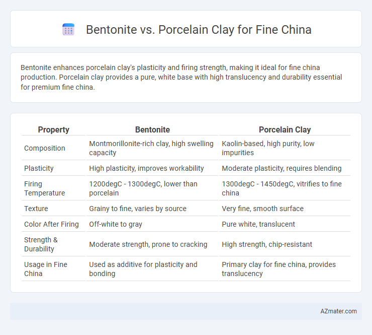 Bentonite vs. Porcelain Clay for Fine China - What is The Difference?