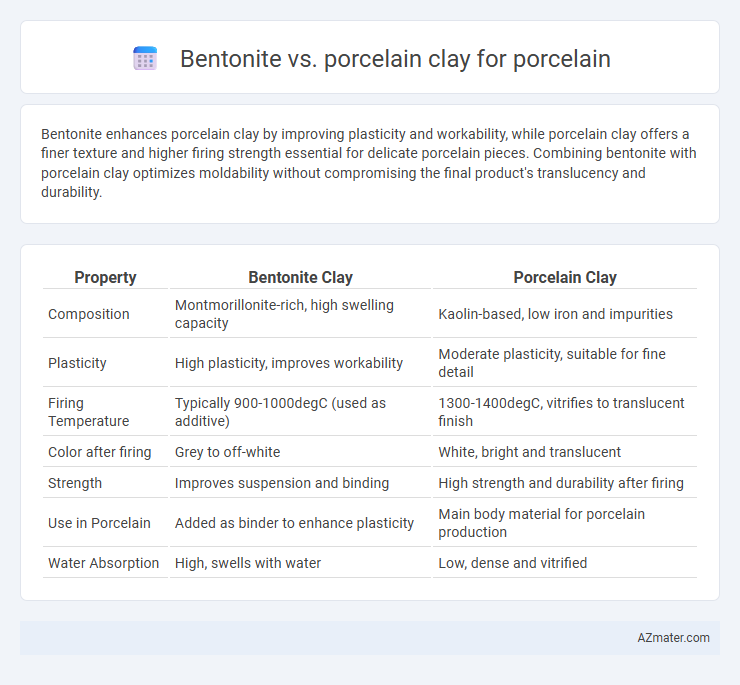Bentonite vs. porcelain clay for porcelain - What is The Difference?