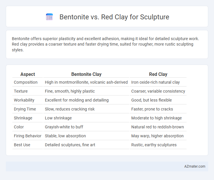 Bentonite vs. Red Clay for Sculpture - What is The Difference?
