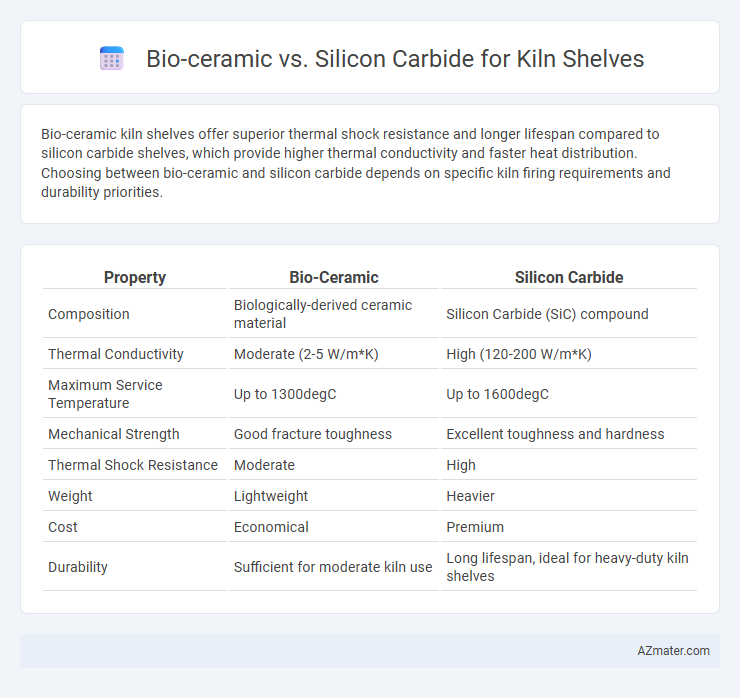 Bio-ceramic vs. Silicon Carbide for Kiln Shelves - What is The Difference?