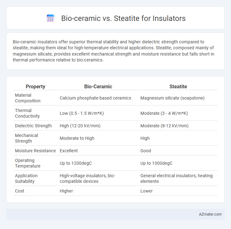 Bio-ceramic vs. Steatite for Insulators - What is The Difference?