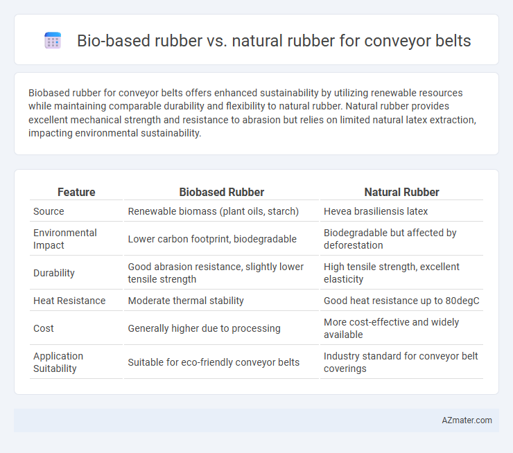 Bio-based rubber vs. natural rubber for conveyor belts - What is The Difference?